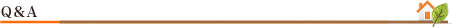 Q&A